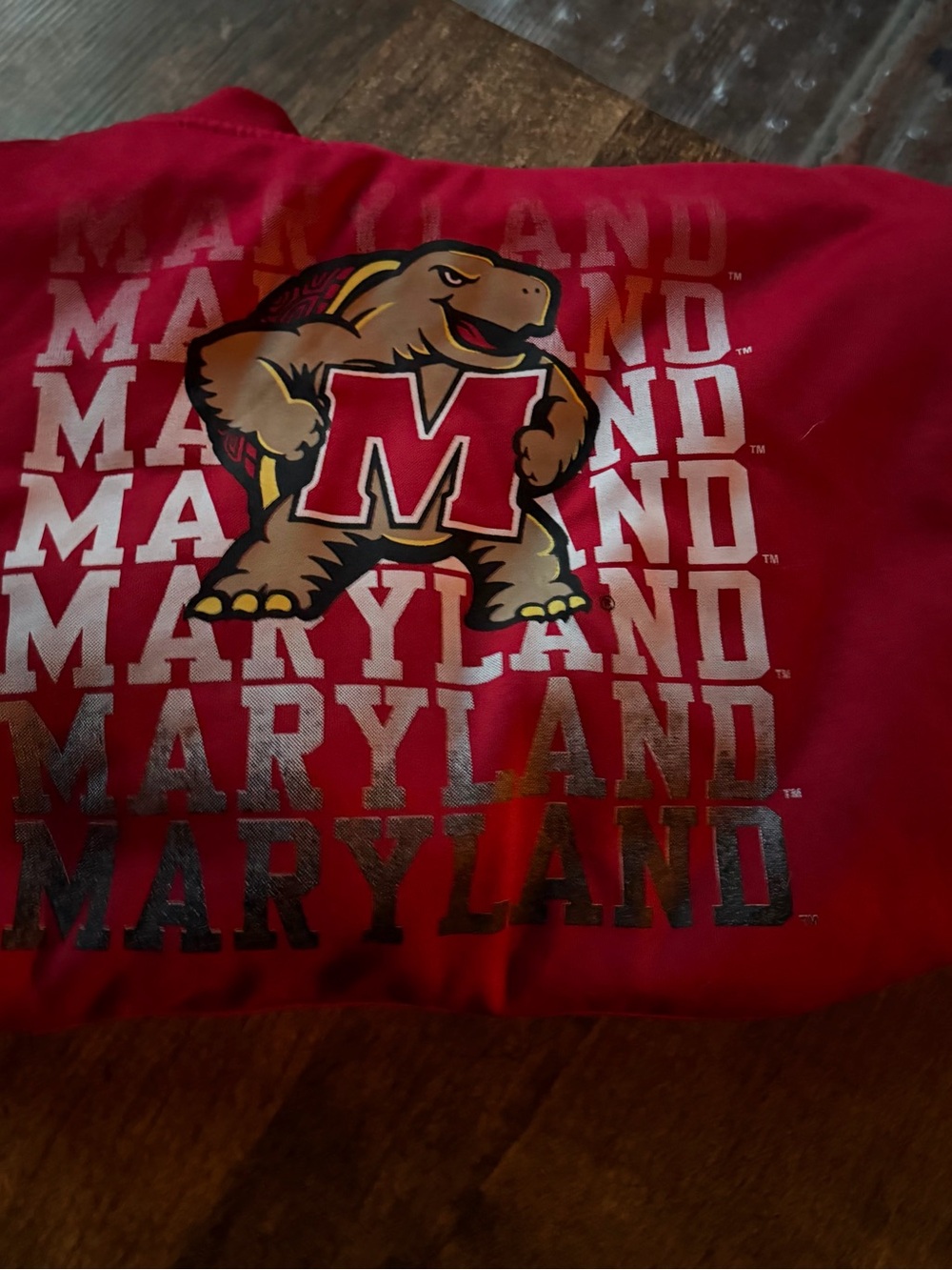 Fanatics Red Maryland Terrapin Graphic Hoodie